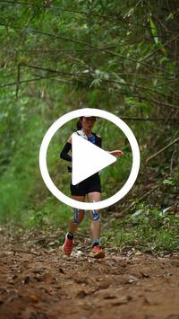 BIB:  <button type="button" onclick="openModal(26805313)" class="btn btn-primary btn-sm float-right" data-toggle="modal" data-target=".modal-high-quality">
                <i class="fa fa-download"></i> Download
                </button>